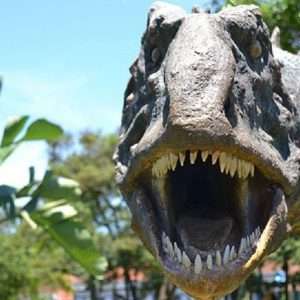 Otkrivena nova vrsta dinosaurusa u Argentini