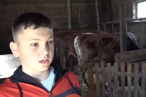 Miloš (13) iz Bosanskog Petrovca je glava domaćinstva nakon smrti oca: Od četvrte godine vozi traktor (VIDEO)