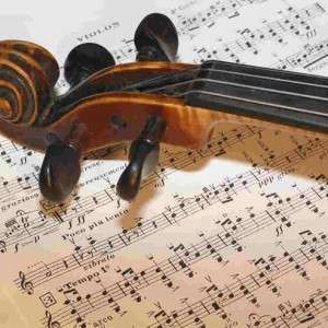 Ovih šest hobija povezani su sa nevjerovatnom inteligencijom