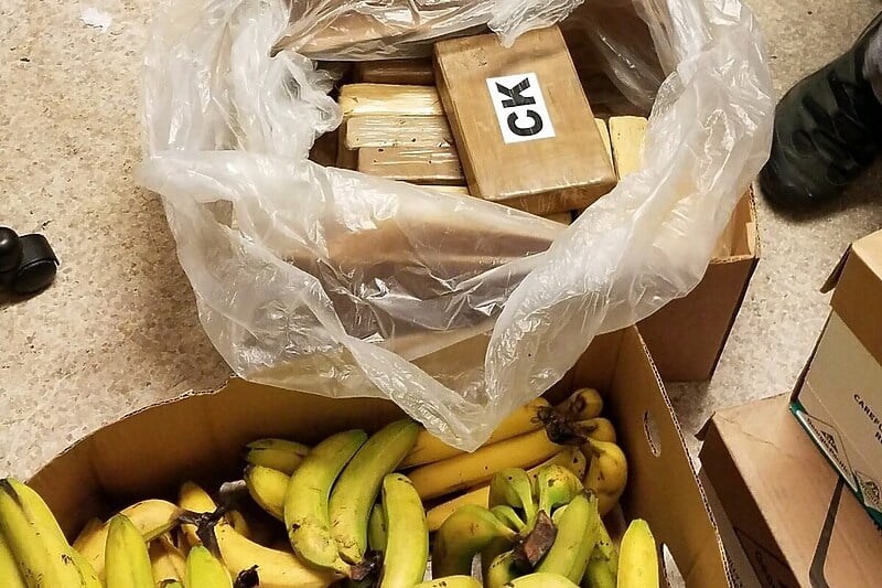 Banane na kokainu: Zbog čega se droga najčešće švercuje u ovom južnom voću