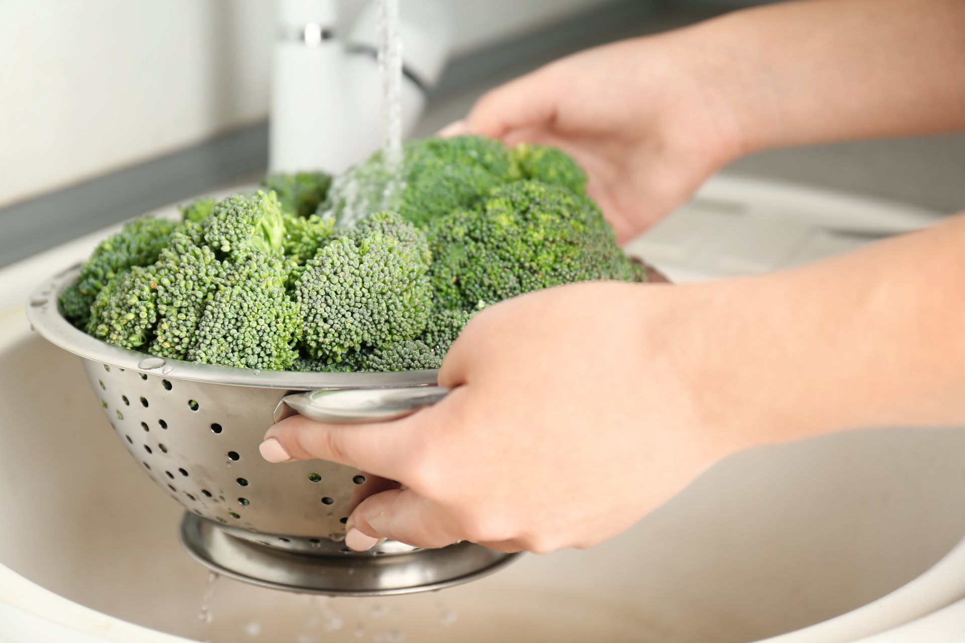 Broccoli Sprouts Купить