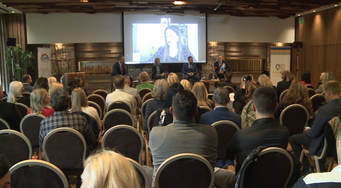 Konferencija o prevenciji nasilja u porodici i nad ženama (Video)