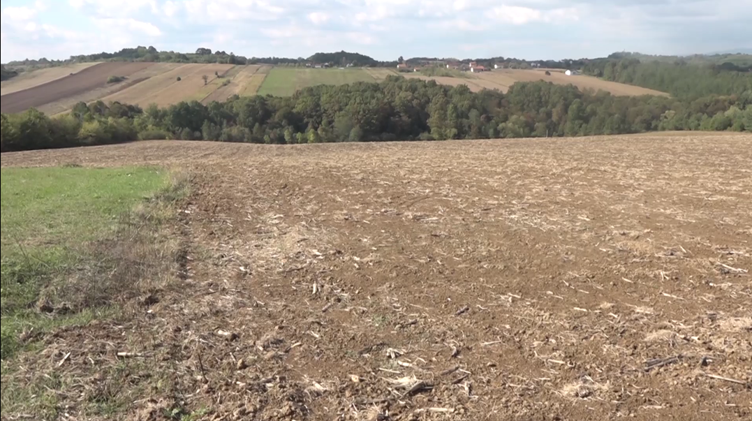 Obavljena sjetva trave: Farmeri očekuju dobro nicanje (VIDEO)