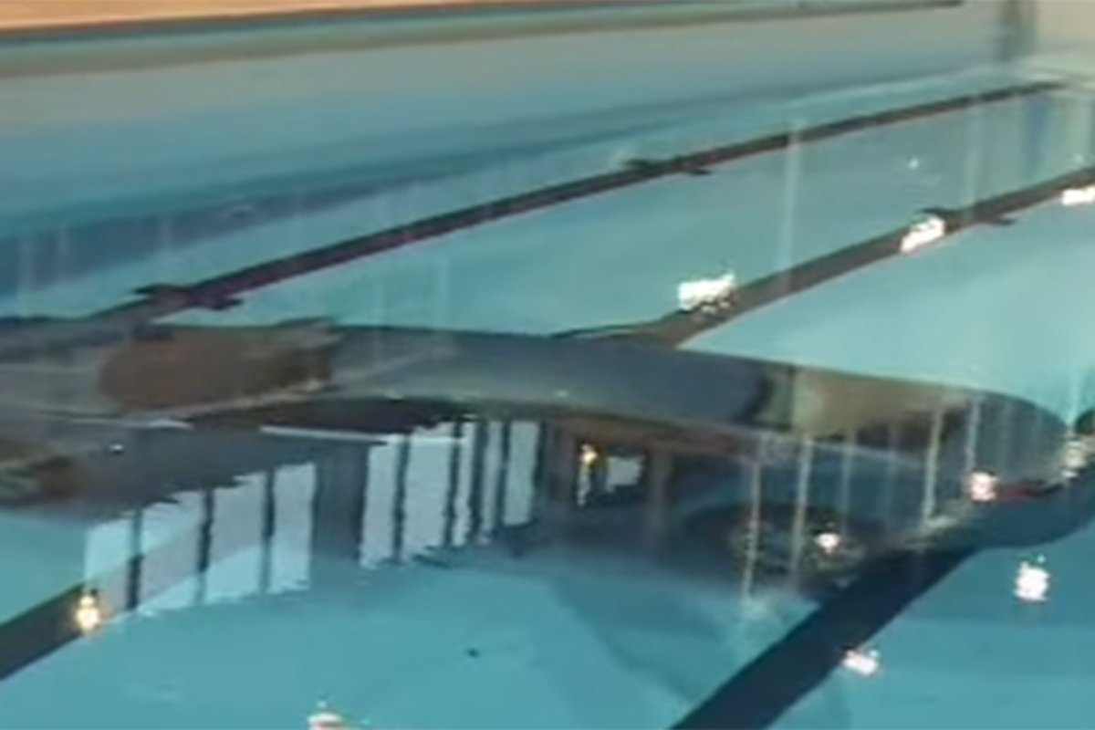 Incident u Francuskoj: Automobilom uletjela u bazen u kojem su bili plivači (VIDEO)