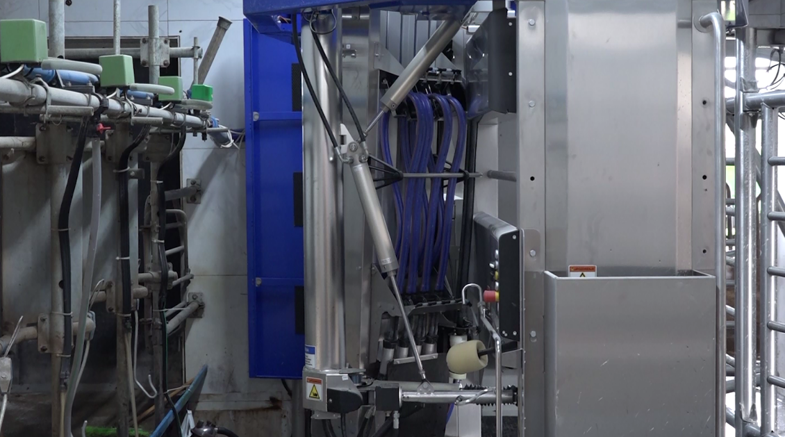 Prnjavorski farmer Dejan Simić osposobio robot za mužu (VIDEO)