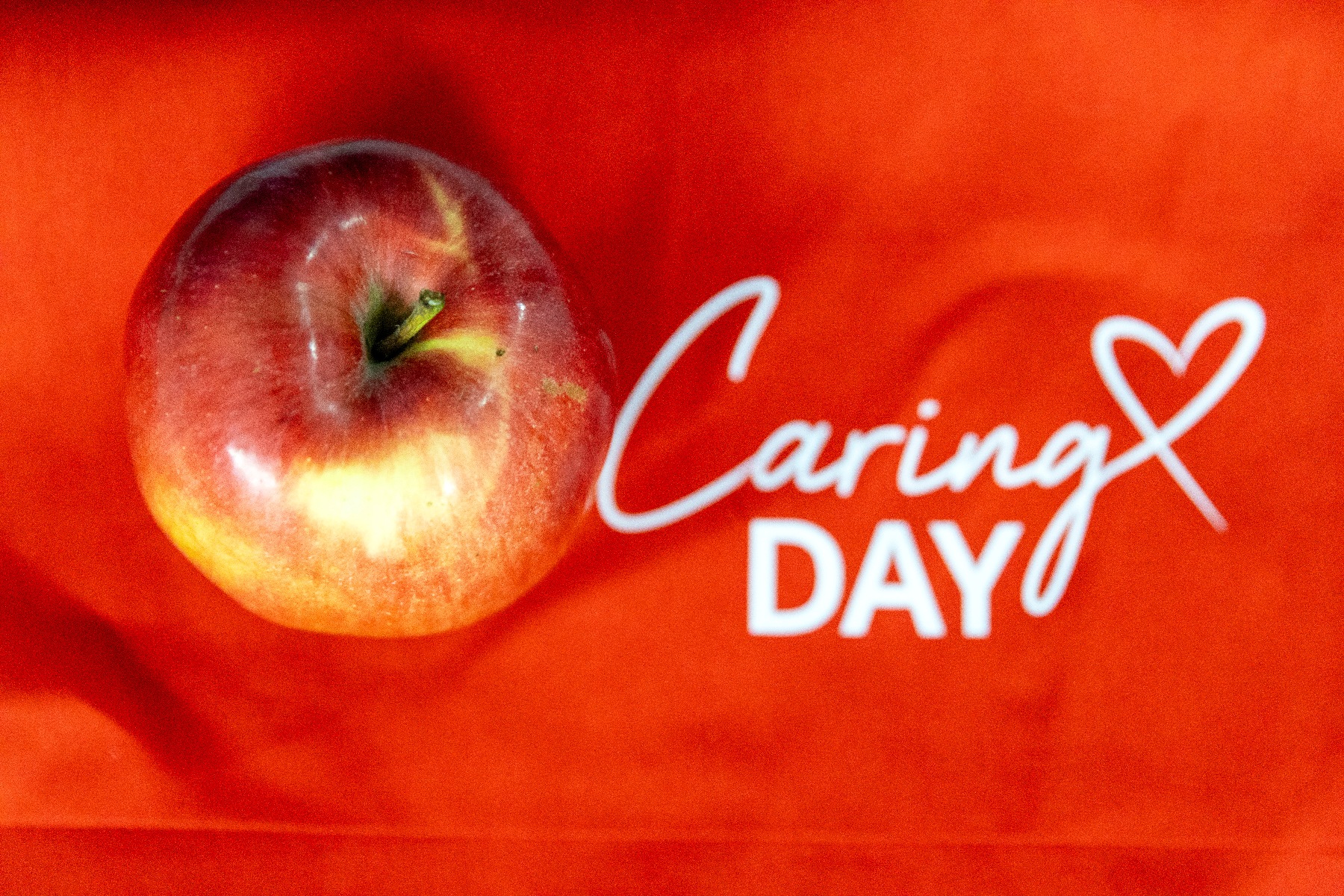 Humanost u akciji: Hemofarm u globalnom Danu brižnosti